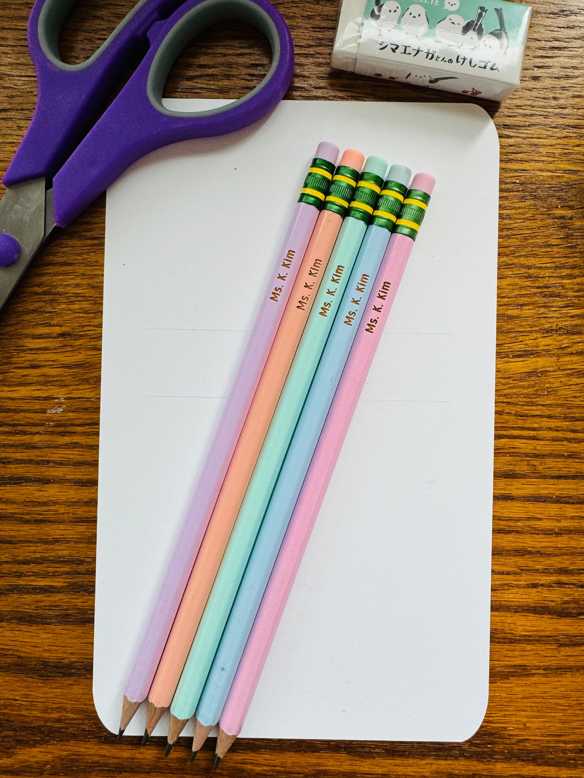 Ticonderoga Pencils (Set of 5) - PASTEL