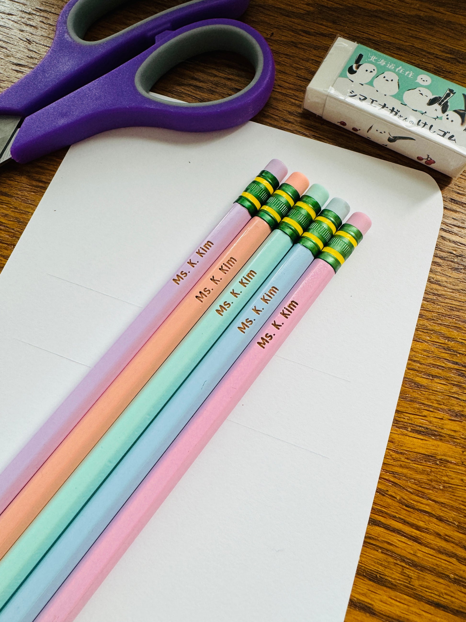 Ticonderoga Pencils (Set of 5) - PASTEL